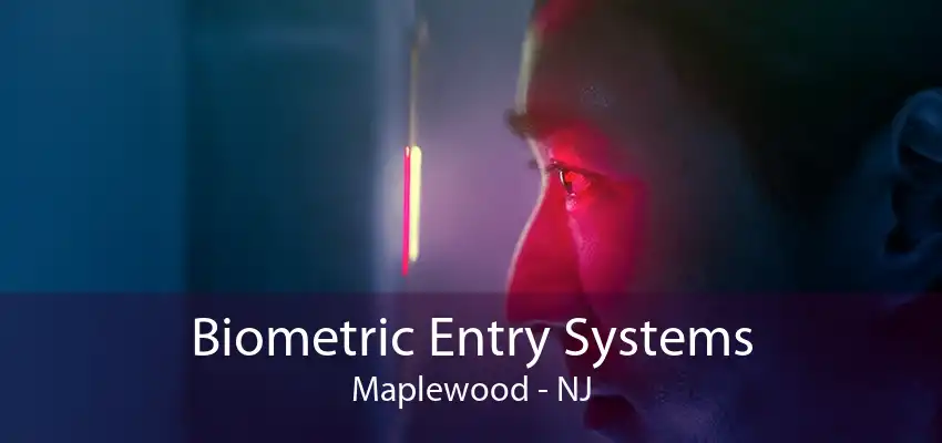 Biometric Entry Systems Maplewood - NJ