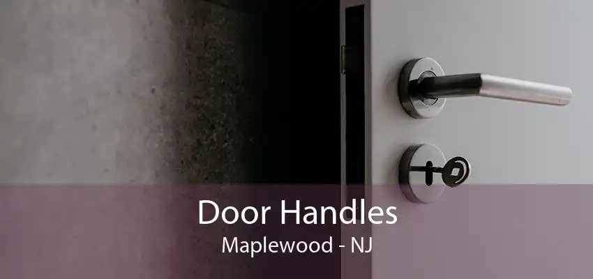 Door Handles Maplewood - NJ