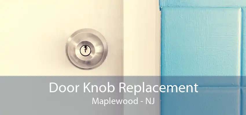 Door Knob Replacement Maplewood - NJ