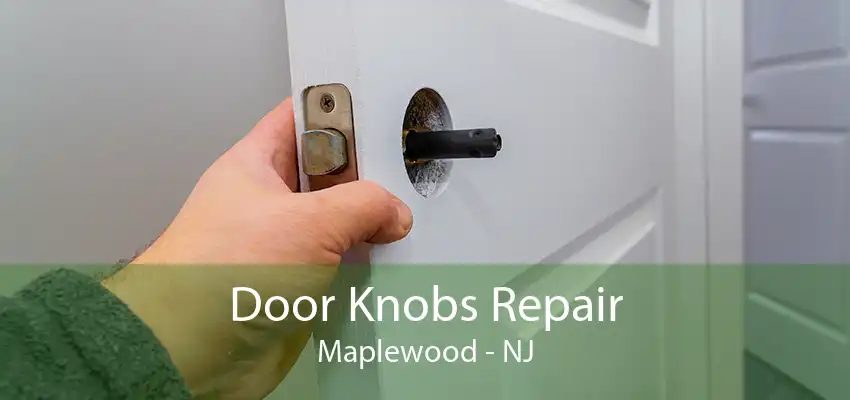 Door Knobs Repair Maplewood - NJ