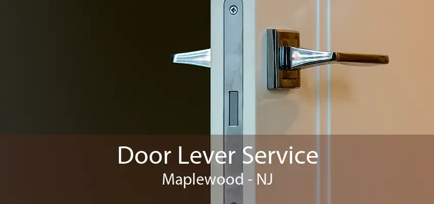 Door Lever Service Maplewood - NJ