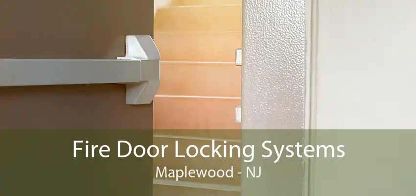 Fire Door Locking Systems Maplewood - NJ