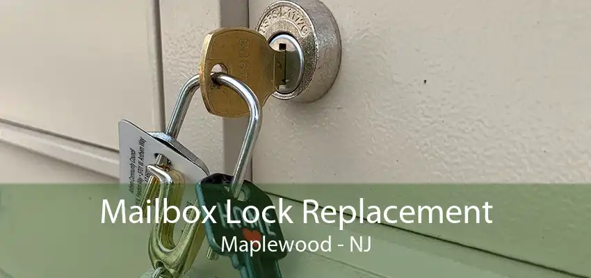 Mailbox Lock Replacement Maplewood - NJ