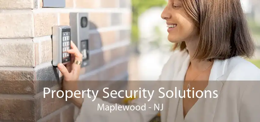 Property Security Solutions Maplewood - NJ