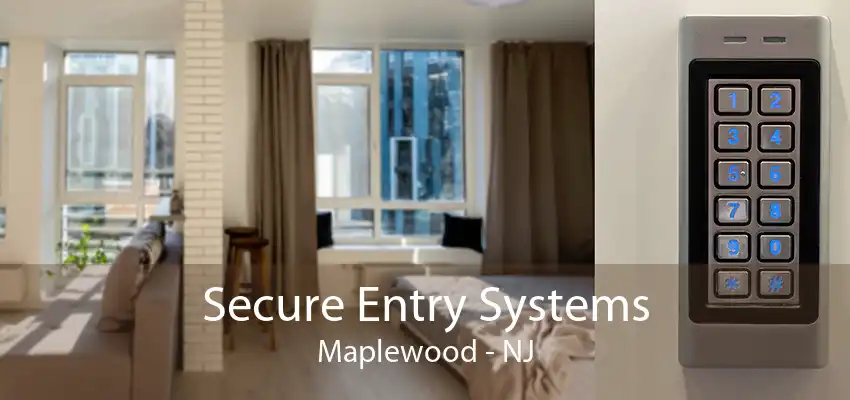 Secure Entry Systems Maplewood - NJ